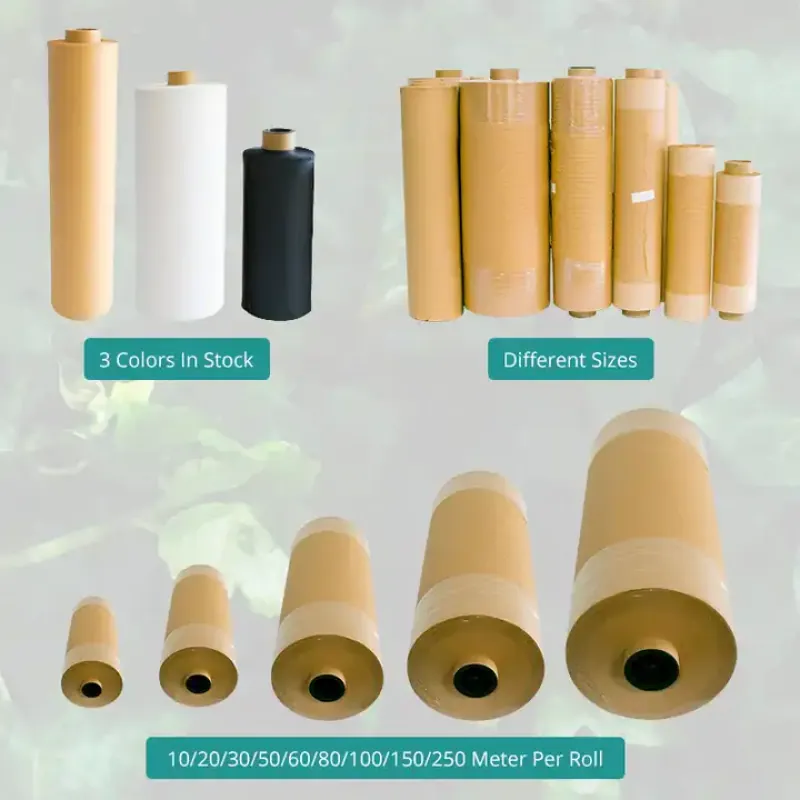 Cuộn giấy kraft tổ ong – ảnh 2